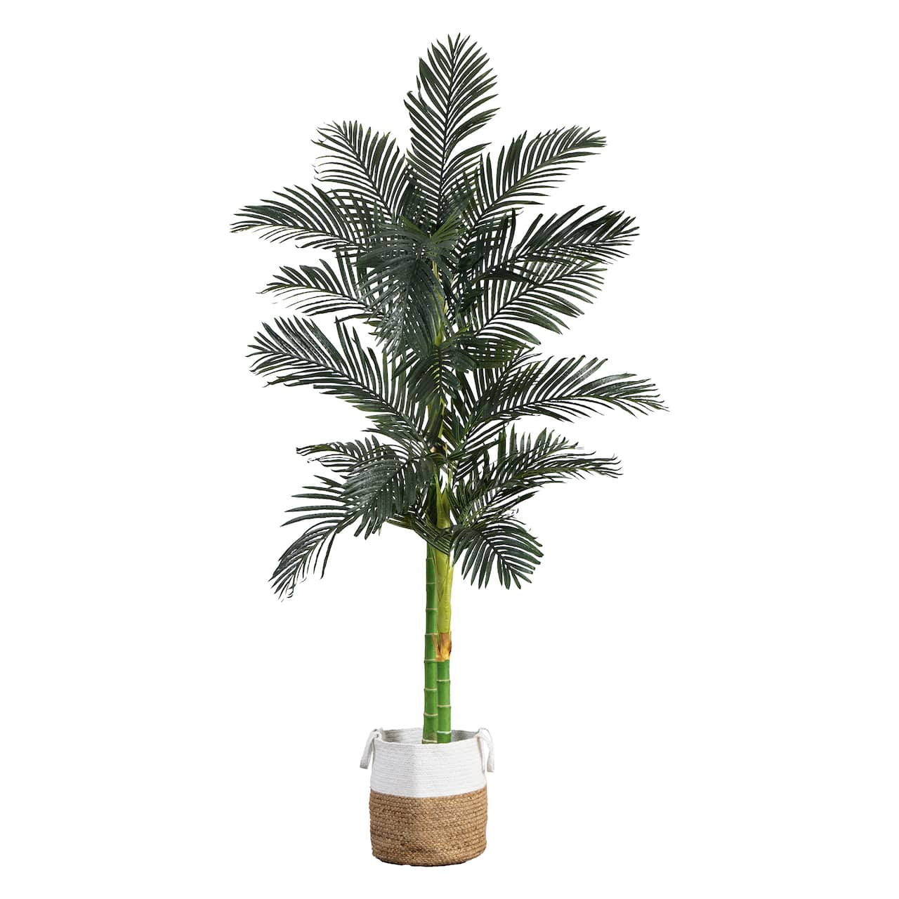 8ft. Golden Cane Palm Tree in Handmade Natural Cotton Planter